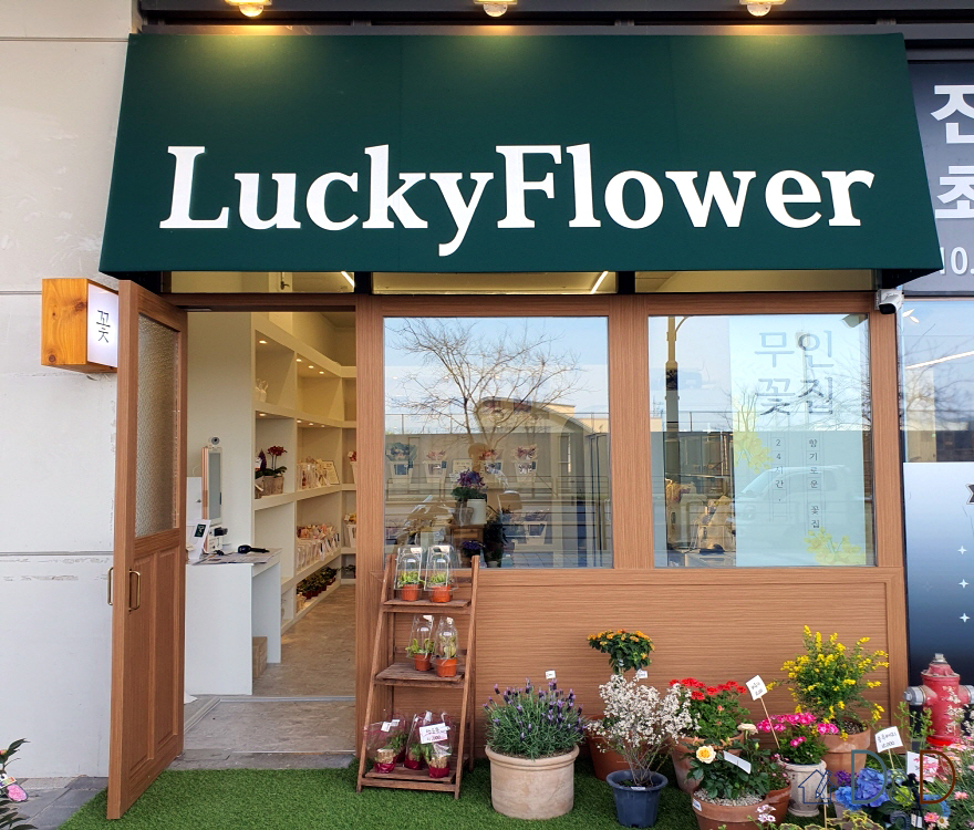Lucky Flower (꽃집)